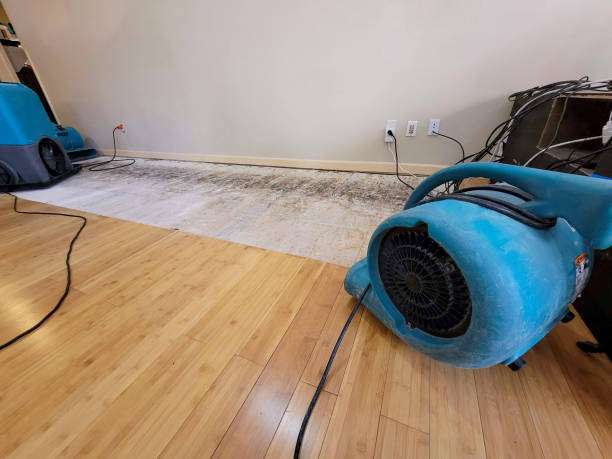 Professional Structural Drying technician working in Park Ridge, IL